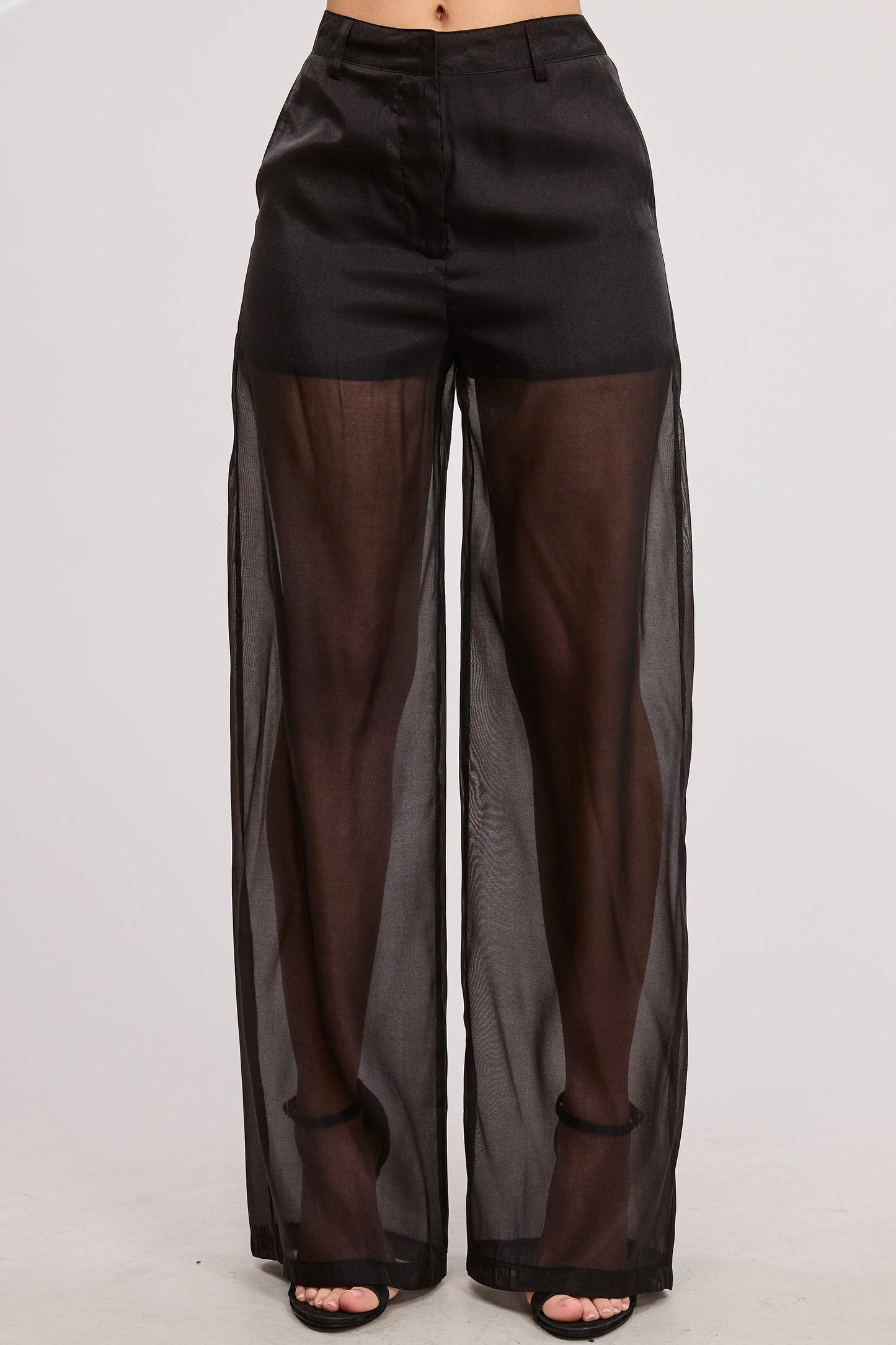 Sheer Organza Pants