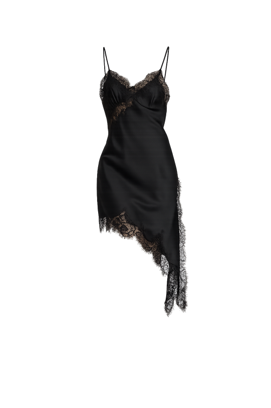 Lace Dress or Long Tunic