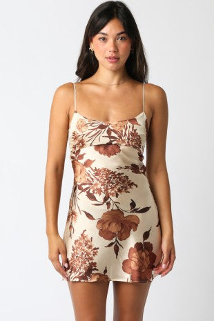 Jane Brown Coffee Cream Dress