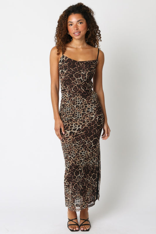 Leopard Sheer Dress