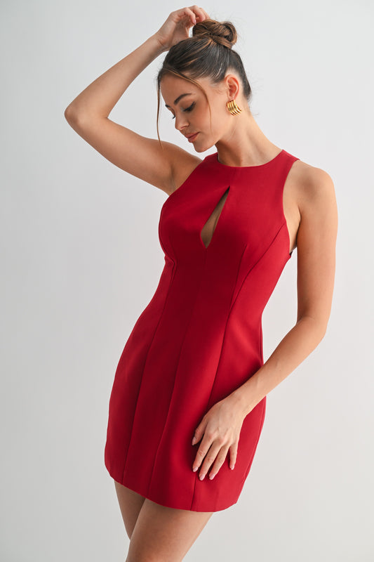 Trained To Shop Dress