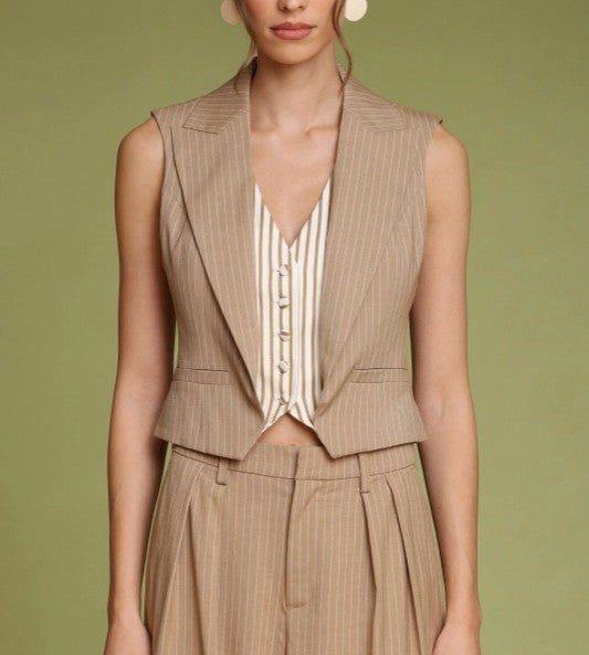 Pinstripe Suit Vest